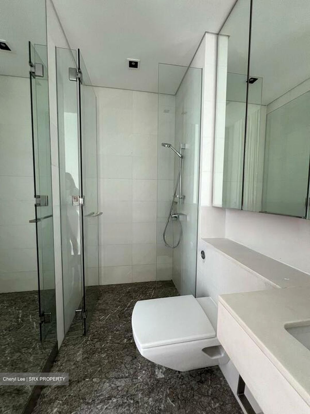 The Oliv (D10), Apartment #458499161